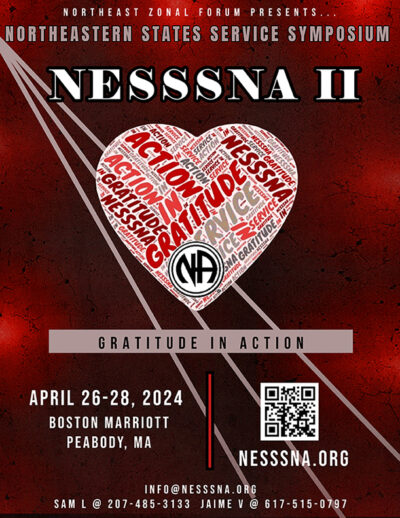 NESSSNA II - Service Symposium
